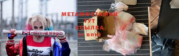 индика Медвежьегорск