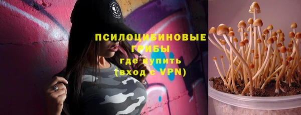 бошки Медногорск