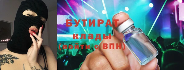 индика Медвежьегорск