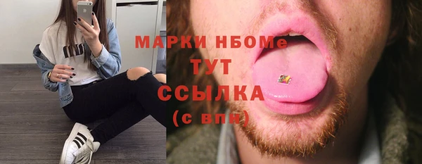 индика Медвежьегорск
