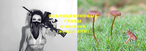 индика Медвежьегорск