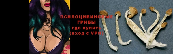 бошки Медногорск