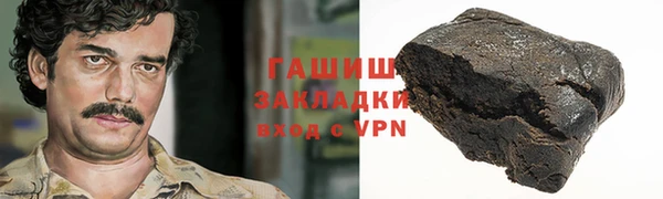 индика Медвежьегорск