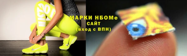 индика Медвежьегорск