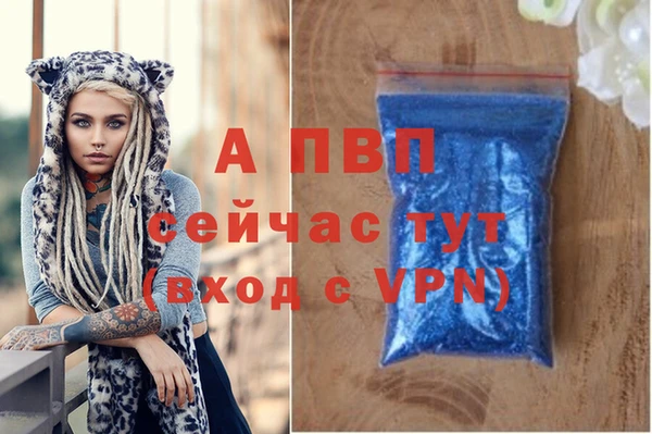 ECSTASY Мегион