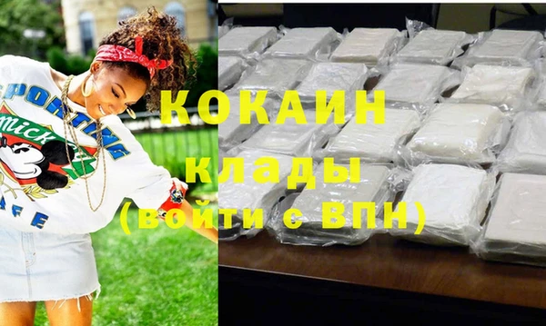 индика Медвежьегорск