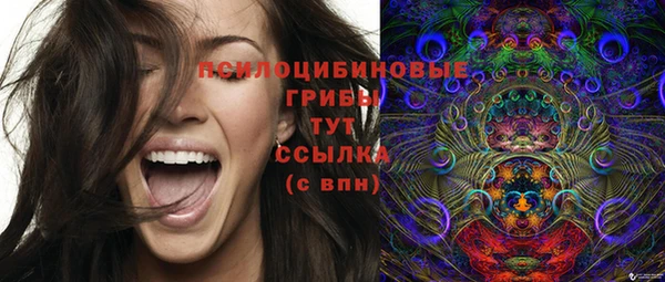 ECSTASY Мегион