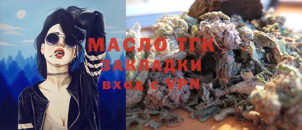 индика Медвежьегорск