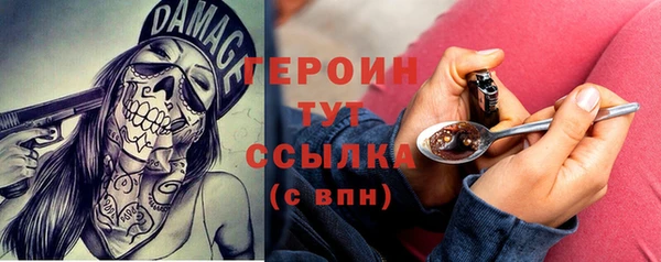 индика Медвежьегорск