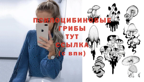 бошки Медногорск