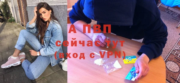индика Медвежьегорск
