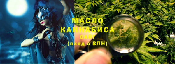 индика Медвежьегорск