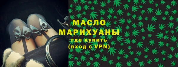 индика Медвежьегорск