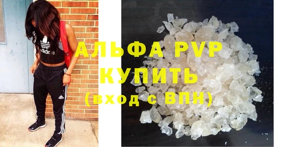 индика Медвежьегорск
