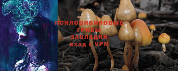 бошки Медногорск