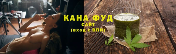 индика Медвежьегорск