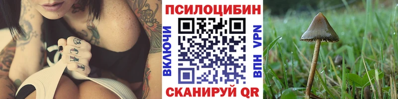 Галлюциногенные грибы мицелий  Купить закладки  Ужур 