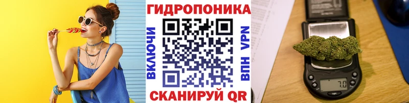 Канабис планчик  Купить  Ужур 